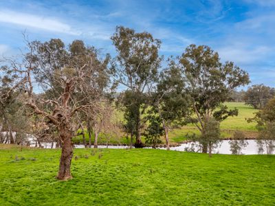 2269 Snow Road, Markwood