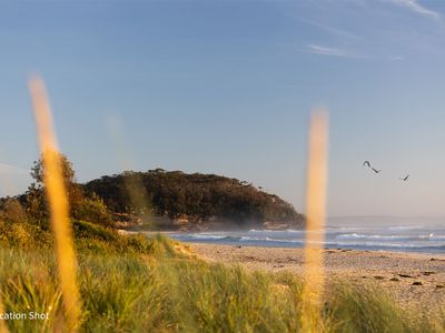 67 Matron Porter Drive, Narrawallee