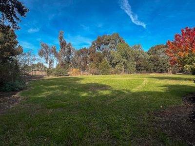 24 Suttie Drive, Swan Hill