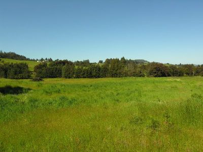 360 Arve Road, Geeveston