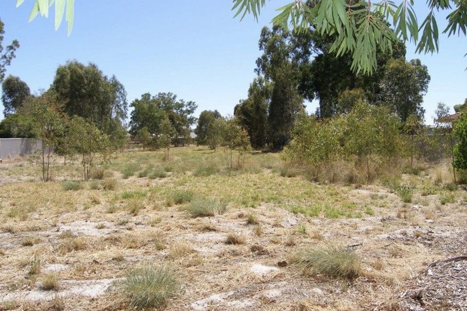 78 Stafford Road, Kenwick