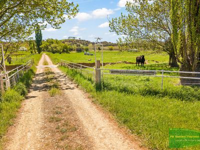 351 Shepherds Creek Road, Euchareena
