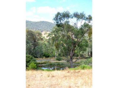 789 Mountain Creek Road, Tawonga