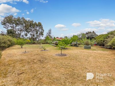 92 Castlemaine-Maldon Road, Muckleford