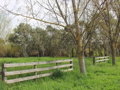 5 Rowe Street, Mansfield