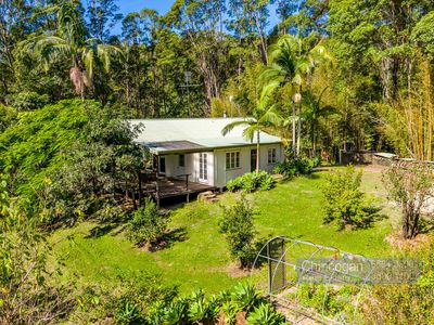 114 Settlement Road, Main Arm