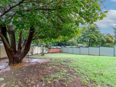 19 David Street, Kelmscott