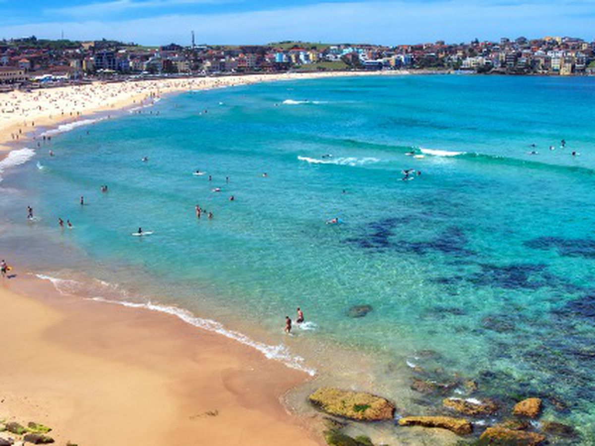 12 / 61 Curlewis Street, Bondi Beach