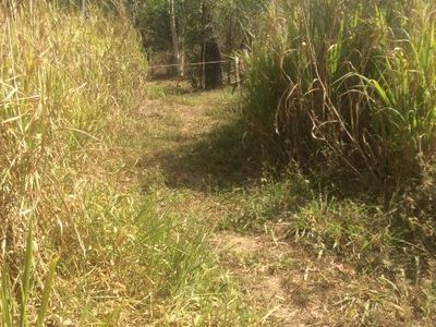 2 Hutchinson Street, Cooktown