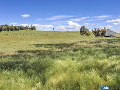 5600 Northern Highway, Tooborac