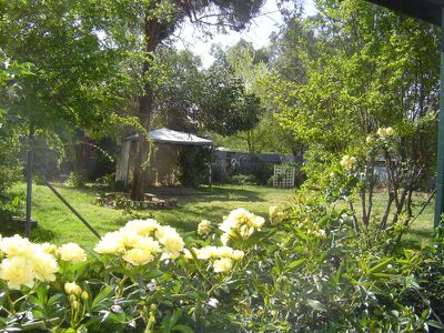 52 Douglas Street, Geurie