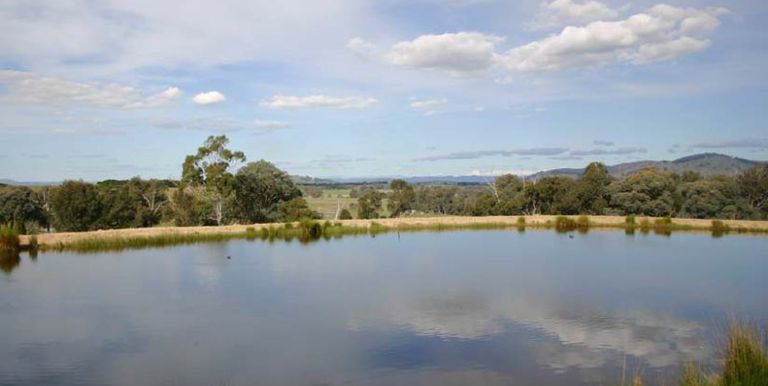 300 Whites Road, Warrenbayne