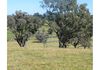 6026 Burrendong Way, Stuart Town