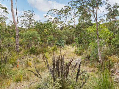 16 Brewis Place, Lake Leake