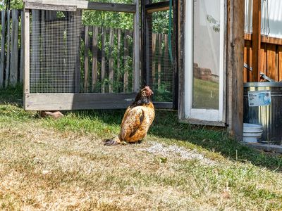 27 Rowes Road, Geeveston