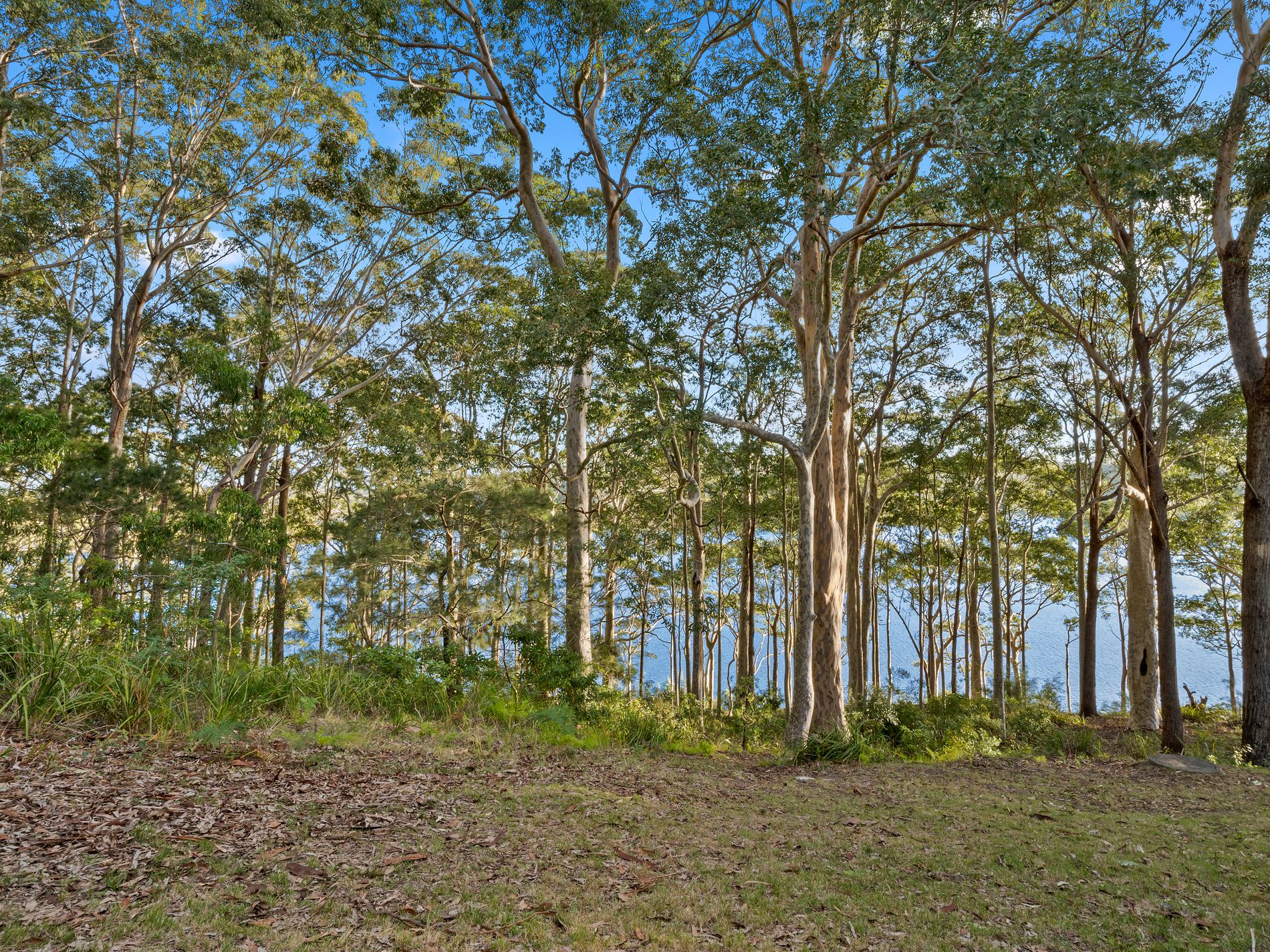 8 William Street, Kings Point