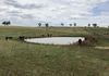 ‘Terutani’ 1097 Davys Plains Road, Cudal