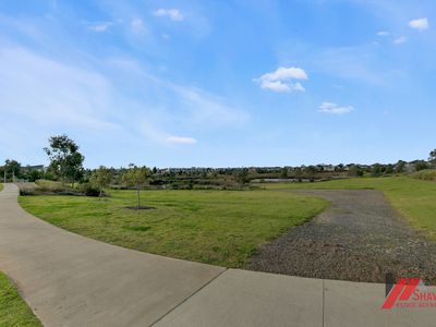 Williams Landing