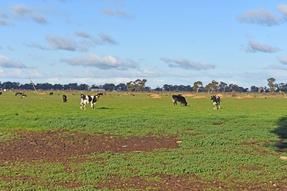 Cnr. Peppertree Lane & Gillies Road, Kyabram