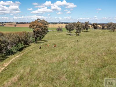 1098 Hovell Road, Moorwatha