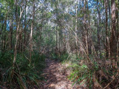 Lot 1, Link Road, Lonnavale