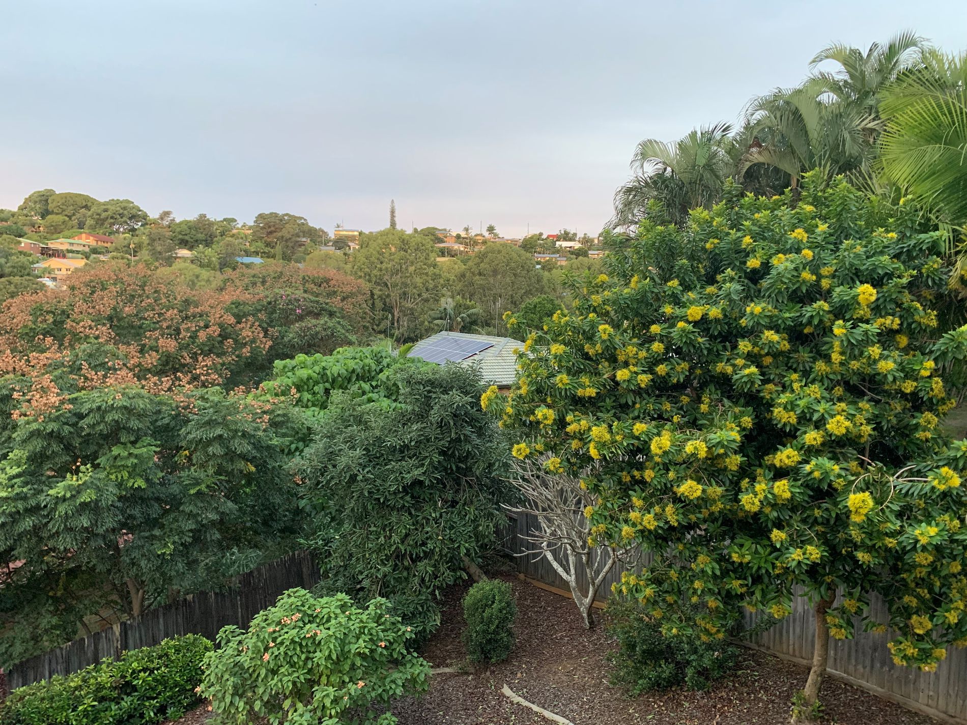 46 Tralee Drive, Banora Point