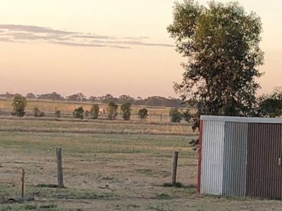 1000 Cohuna-McMillans Road, Cohuna