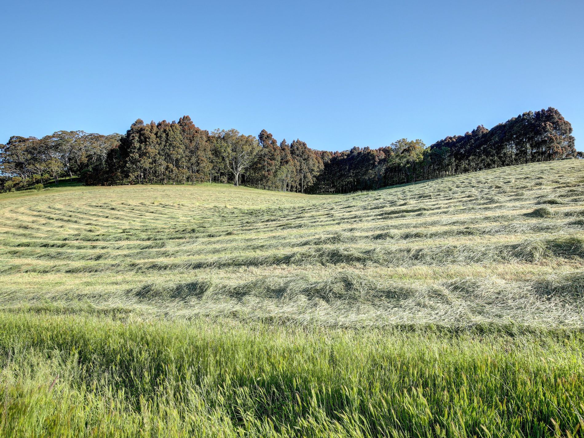 29 Rodert Road, Meadows