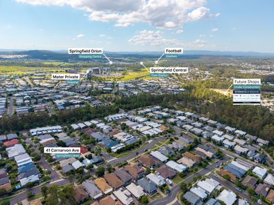 41 Carnarvon Avenue, Springfield Lakes