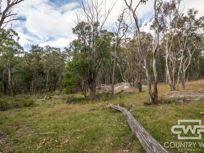 10 Tablelands Road, Red Range