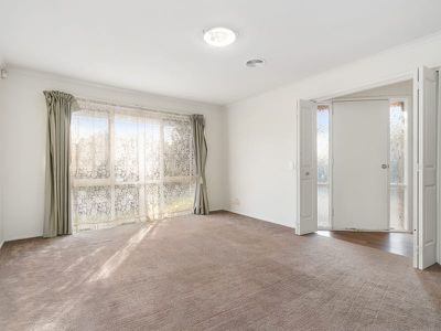 41 Wiltshire Drive, Somerville