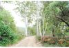 1148 Long Point Road, Orange