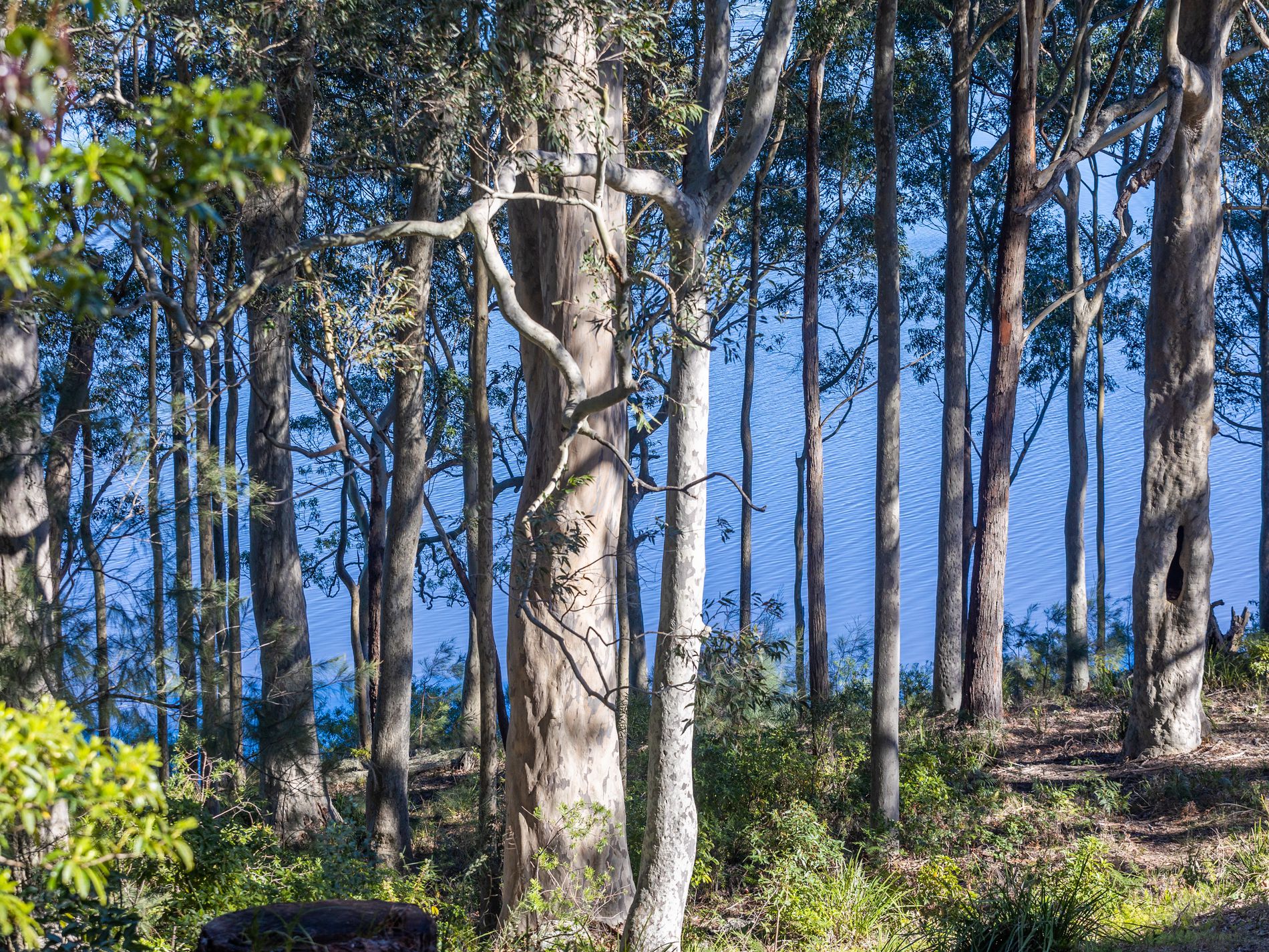 8 William Street, Kings Point