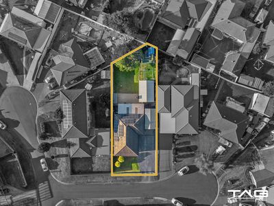 2 Owl Place, St Clair