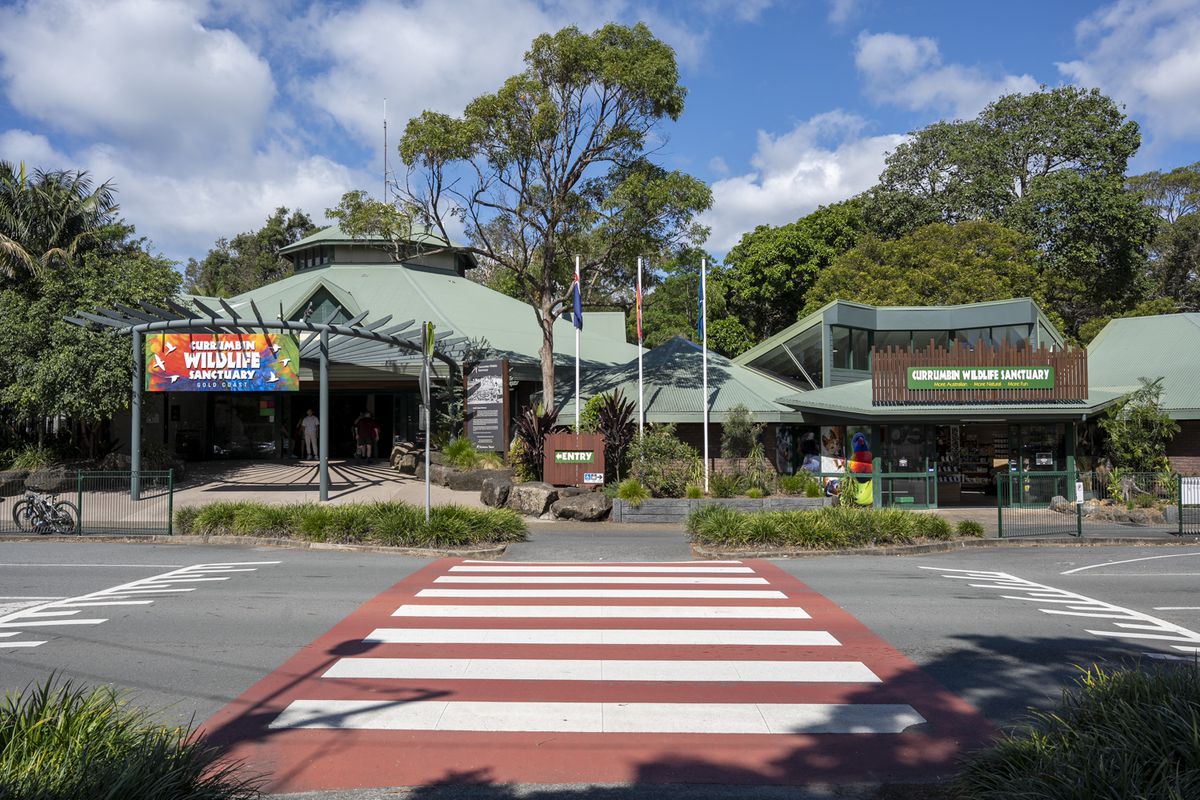 26 Boundary Street, Currumbin Waters