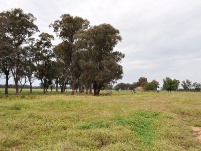 1553 Chiltern-Rutherglen Road, Rutherglen