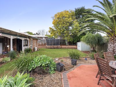 44 Poinciana Street, Newtown