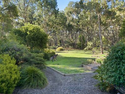 172 Johnstons Road, Barjarg