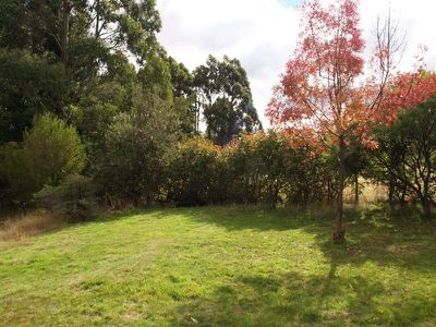 25 Milford Road, Kaoota