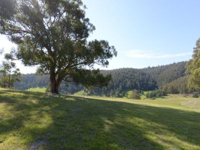 39 Crouchs Hill Road, Lucaston