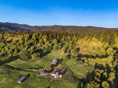 392 TUNTABLE FALLS ROAD, Nimbin