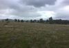 - Loch Lomond Road, Gooloogong