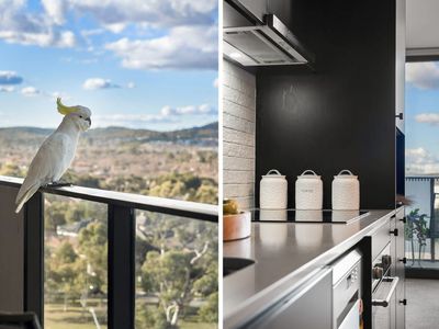 711 / 90 Swain St, Gungahlin