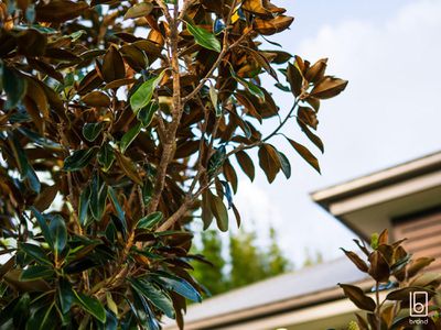 30 Minorca Circuit, Hamlyn Terrace