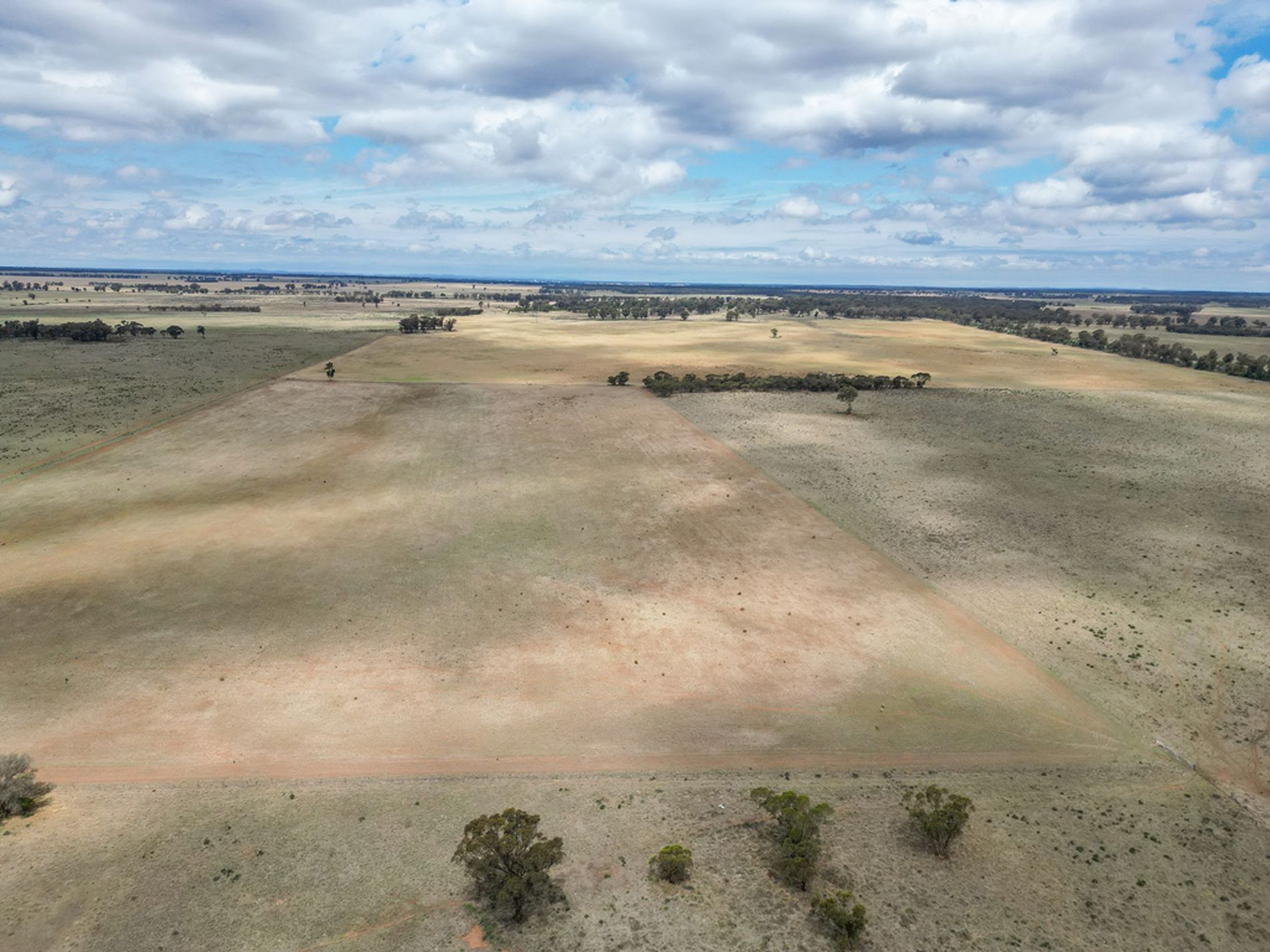 'Rosehill' 54 Rennies Lane, West Wyalong