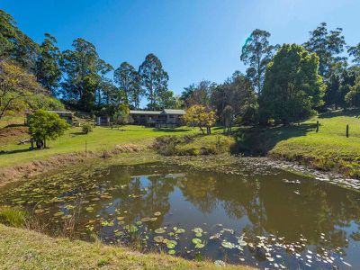 2 Wallaby Road, Stony Chute