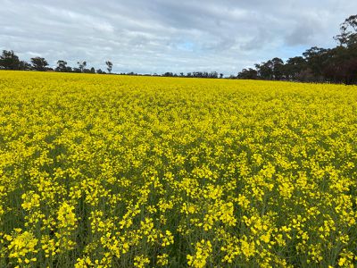 2015 McEwen Road, Kyabram South