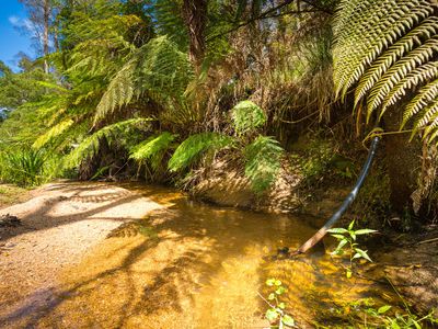 Kingfisher Road , Wyndham