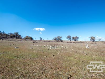 Lot 8 & 9, - Gulf Road, Emmaville