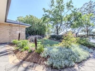 41 Margaret Crescent, Dubbo